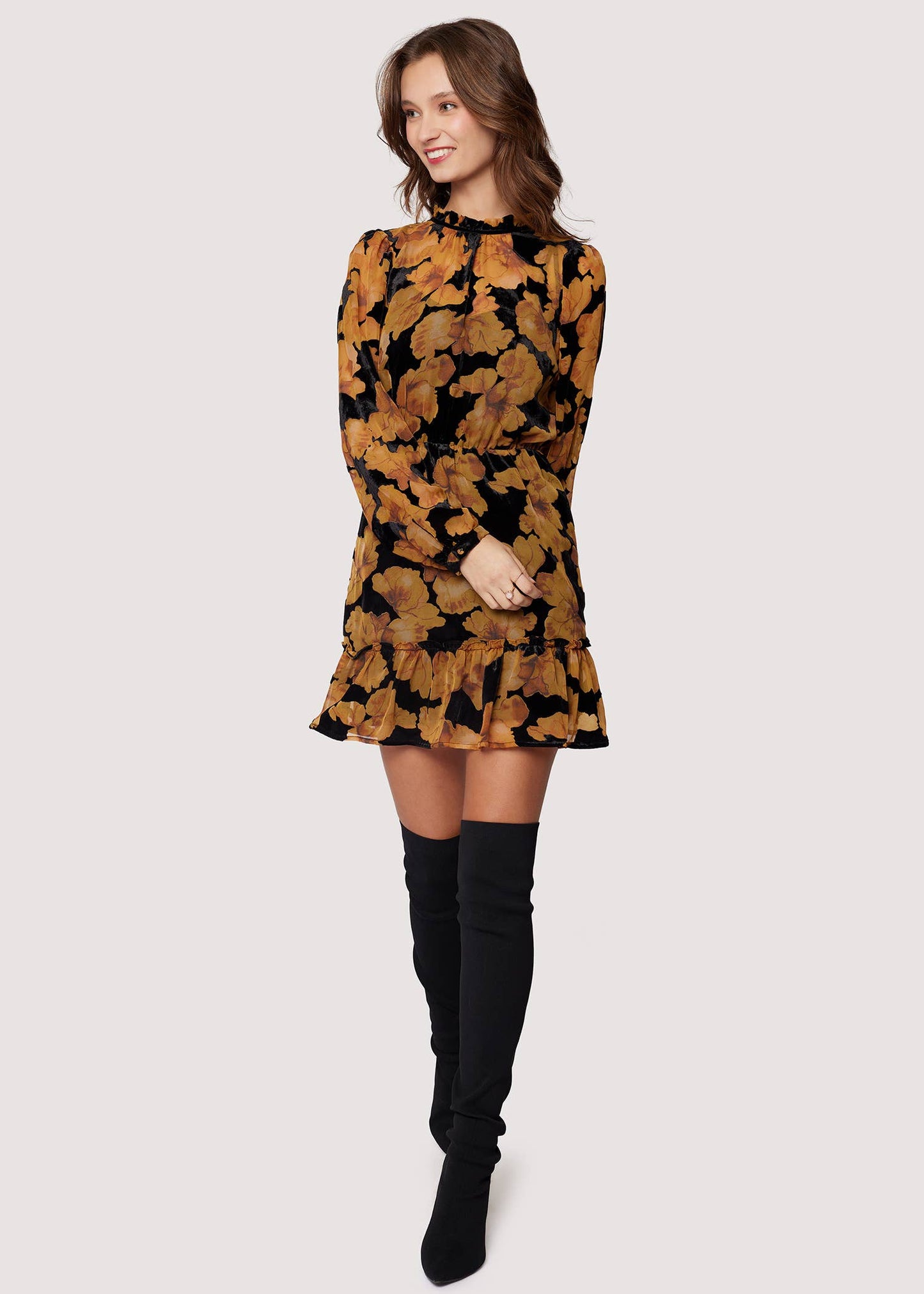 Mary-Ann Velvet Chiffon Long Sleeve Mini Dress