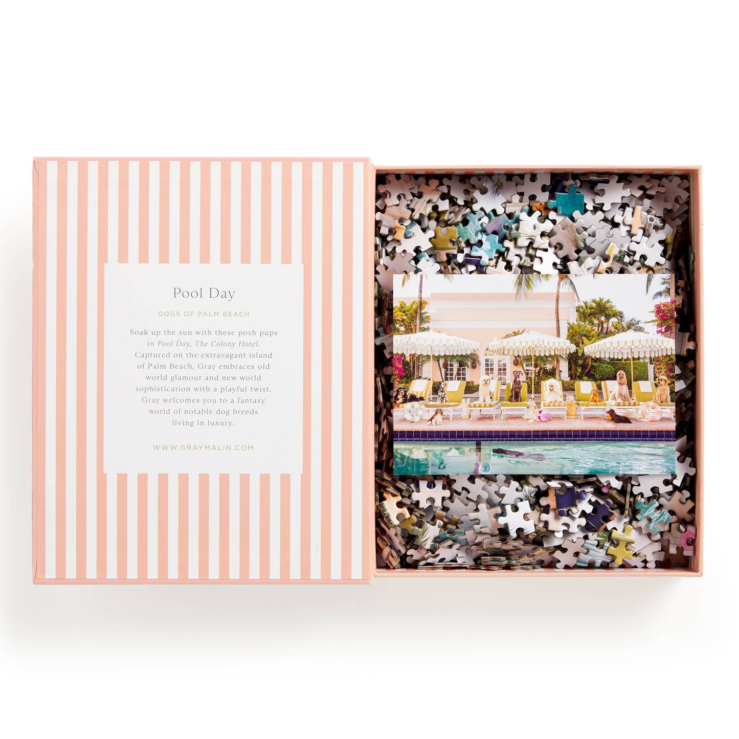 Palm Beach Book Puzzle