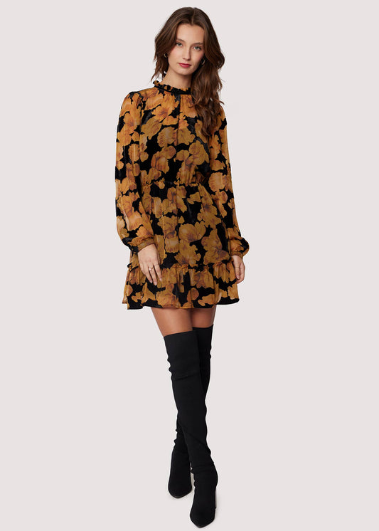 Mary-Ann Velvet Chiffon Long Sleeve Mini Dress