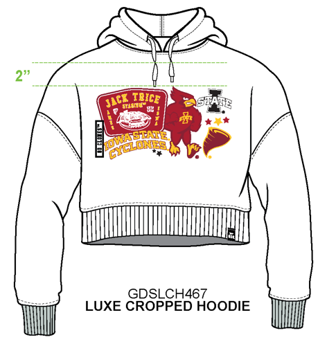 Iowa State Layer Patch Luxe Crop Hoodie