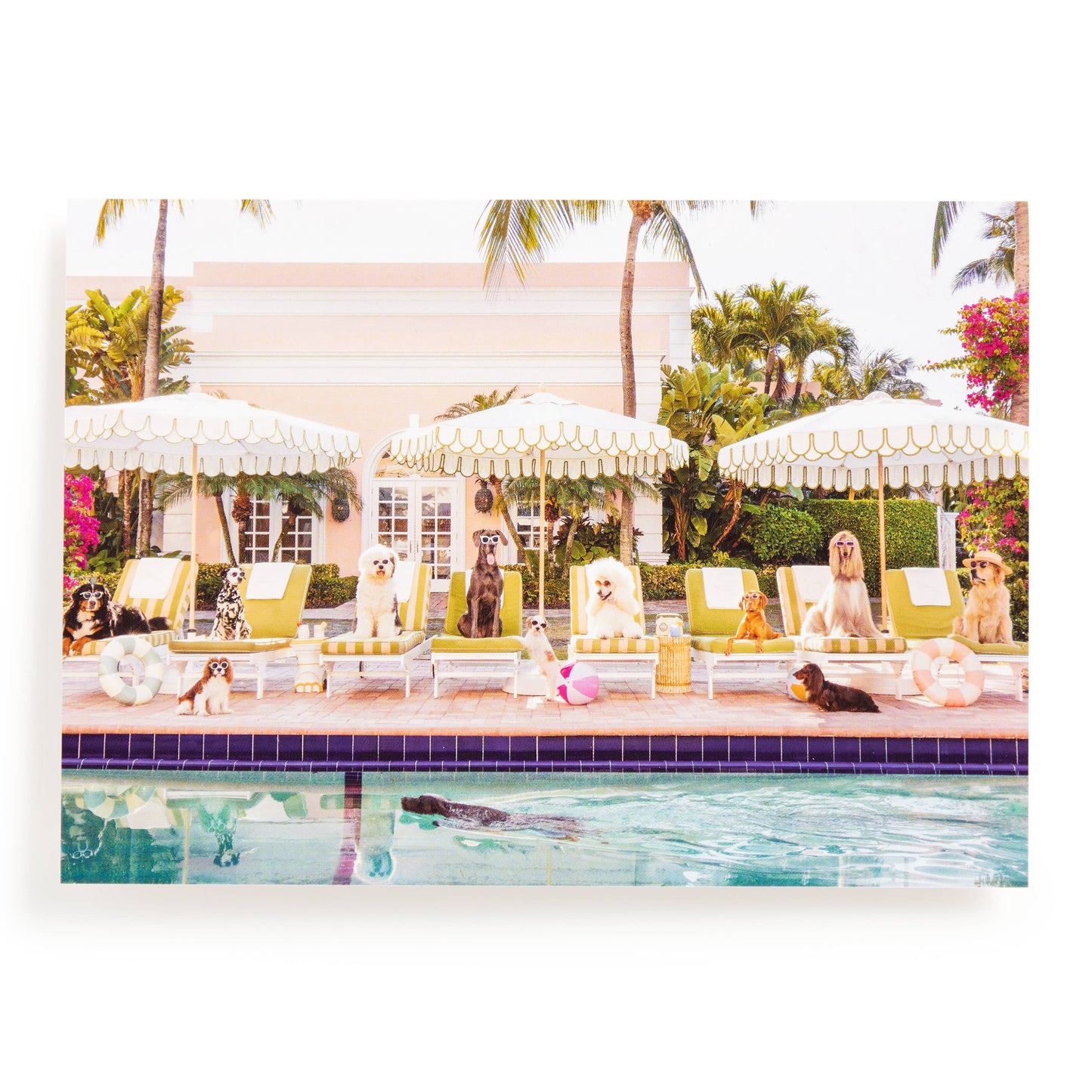 Palm Beach Book Puzzle