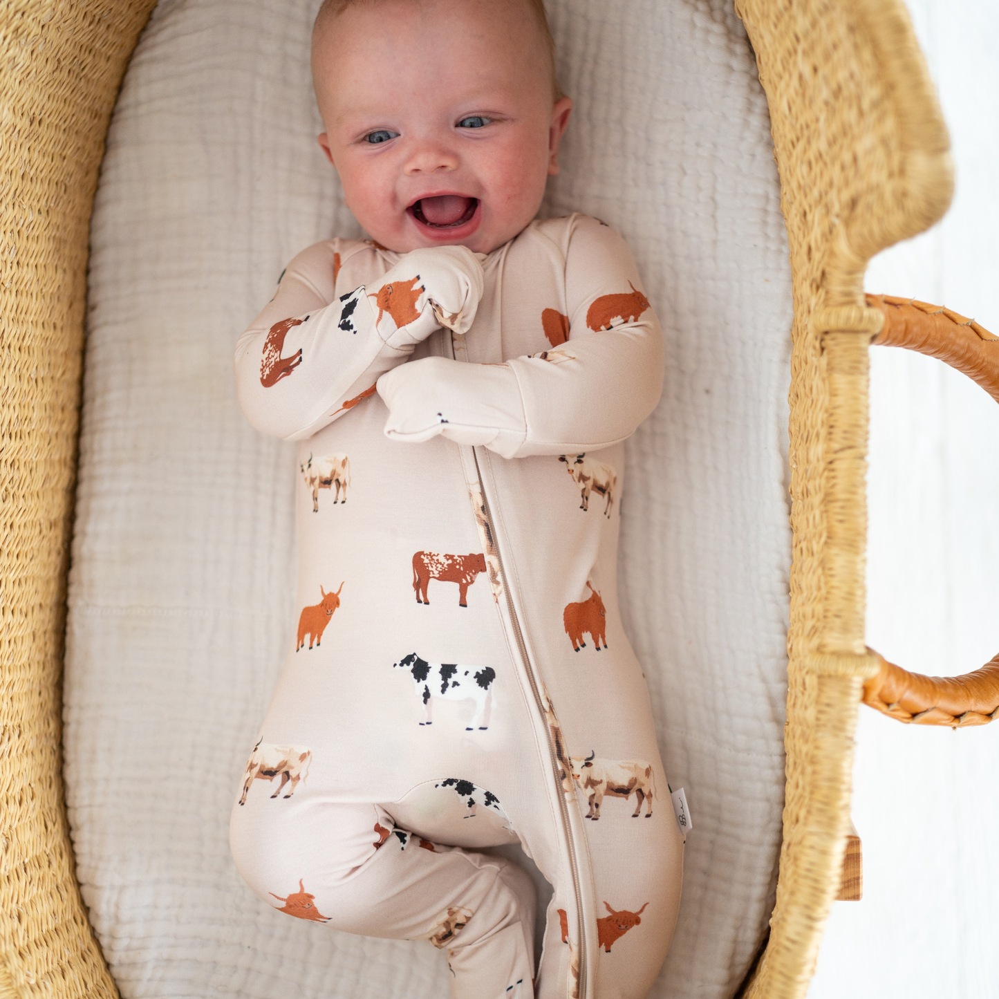 Cow Baby Oatmeal
