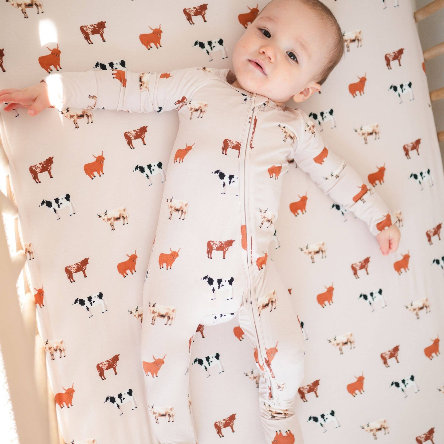 Cow Baby Oatmeal
