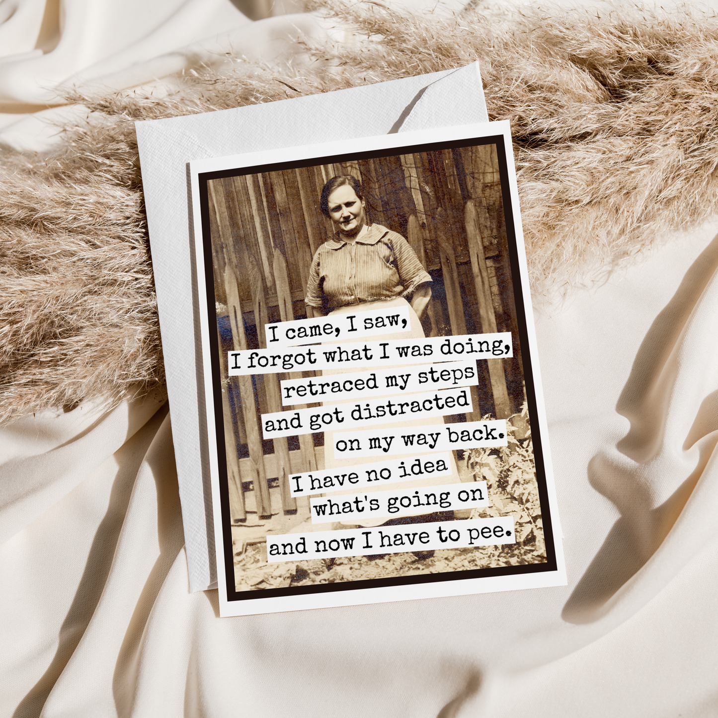 I Came, I Saw, I Forgot What I Was Doin